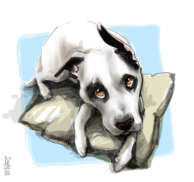 Massachusetts Caricature Artists